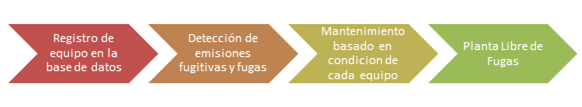 etapas de programa CESEE